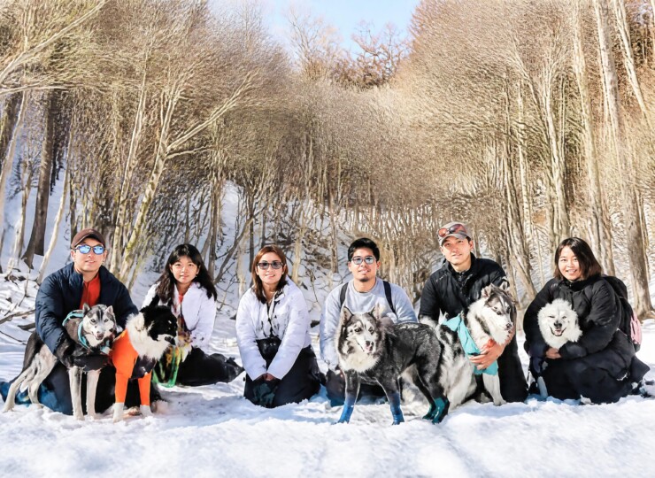 snow005